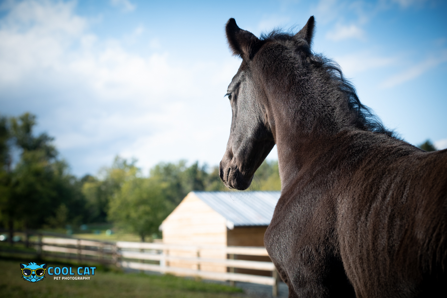 © Cecile Gambin Photography