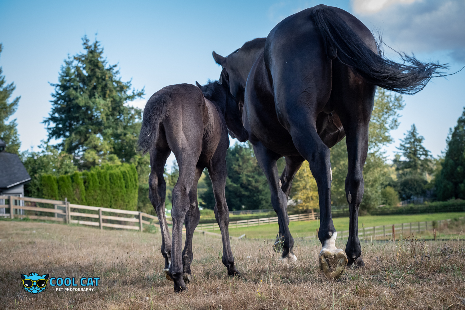 © Cecile Gambin Photography