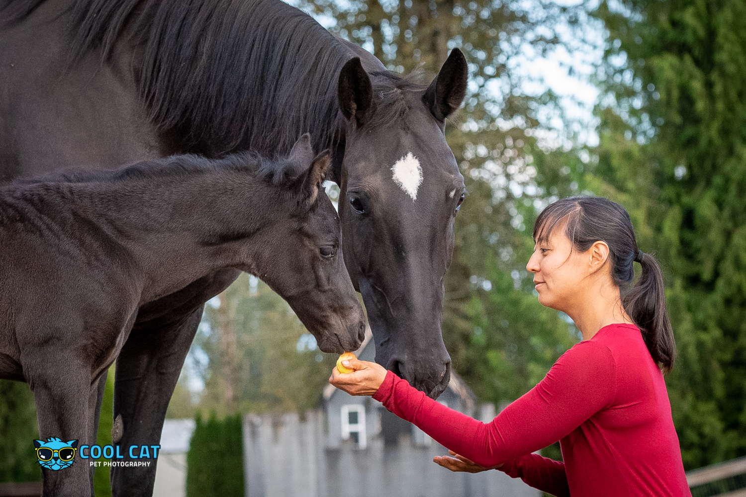 © Cecile Gambin Photography